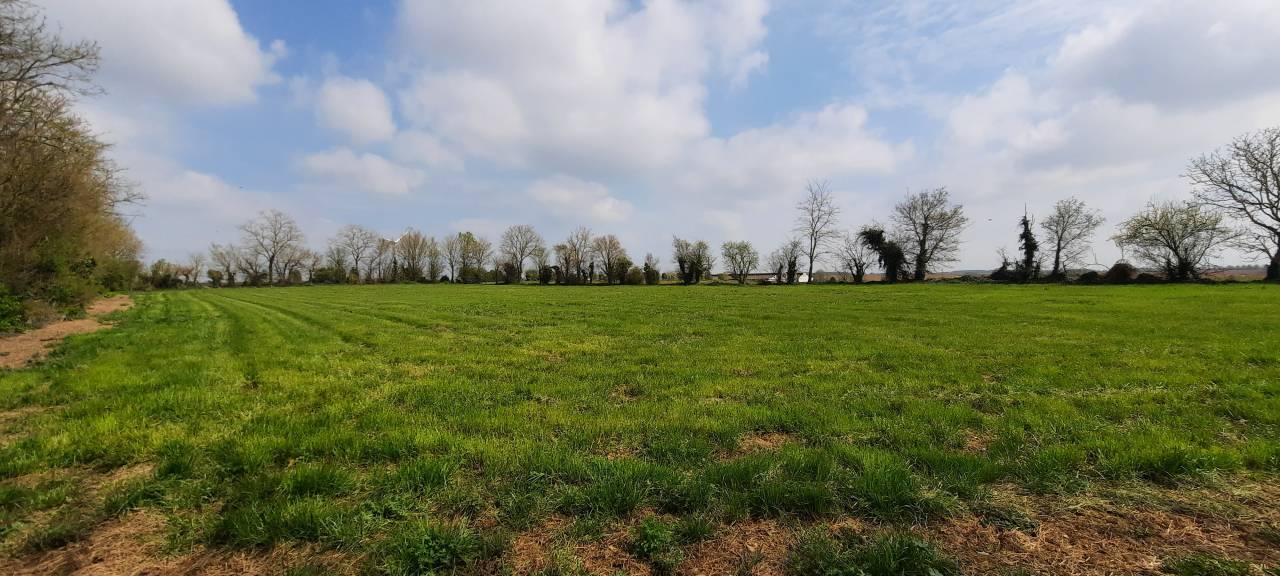 Equestrian property  Vendée