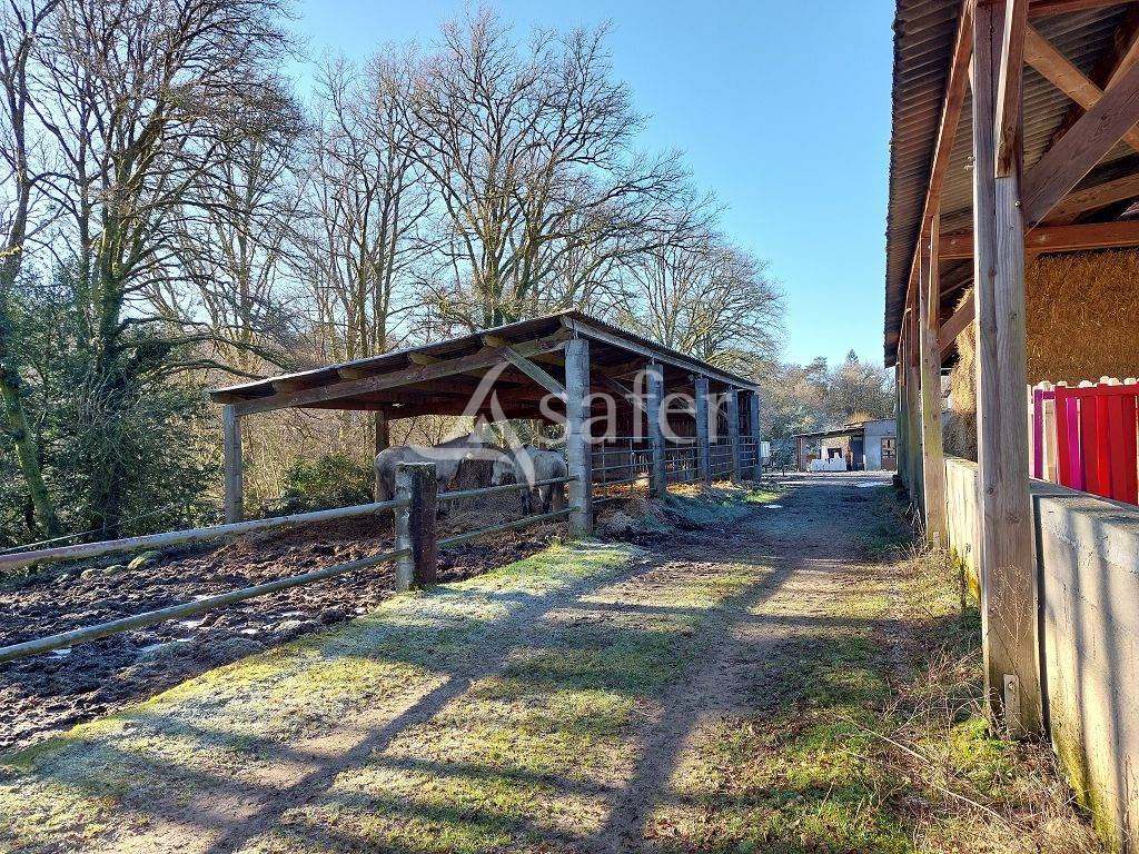 Equestrian property  Haute-Vienne