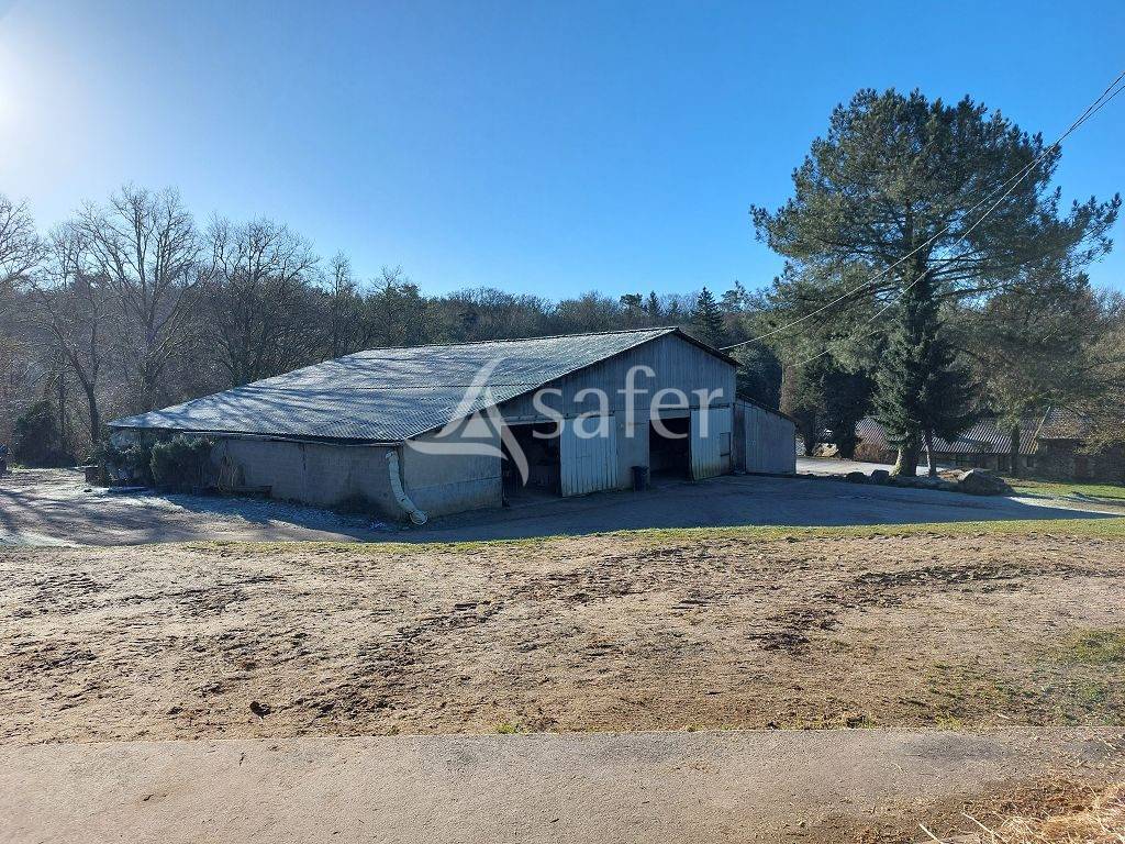 Equestrian property  Haute-Vienne