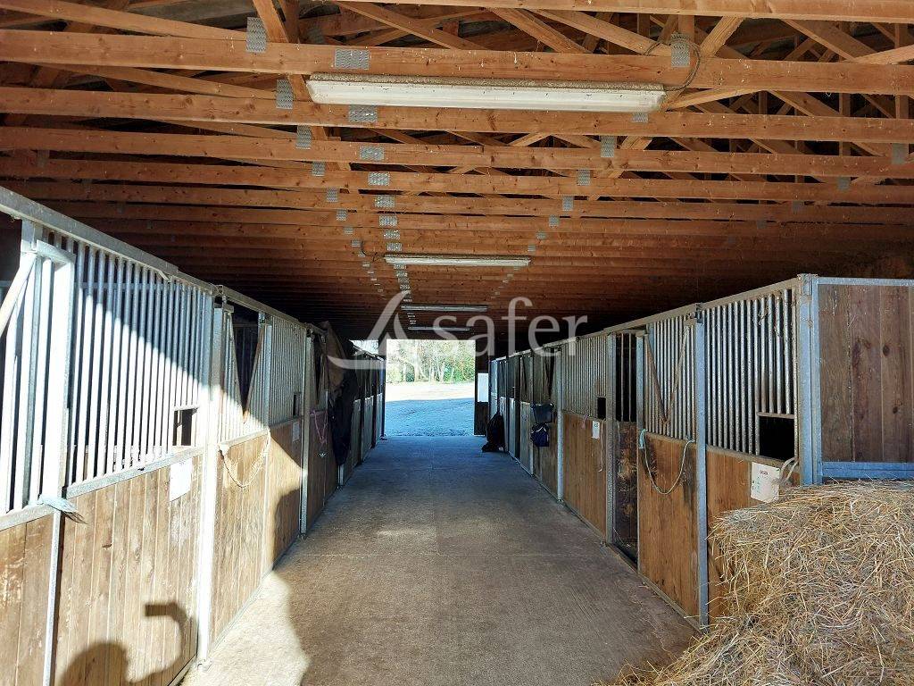 Equestrian property  Haute-Vienne