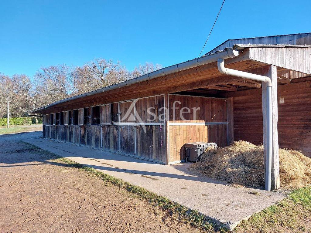 Equestrian property  Haute-Vienne