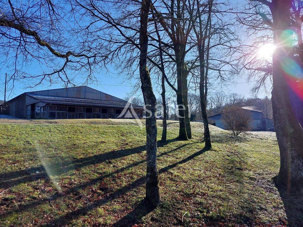Equestrian property  Haute-Vienne