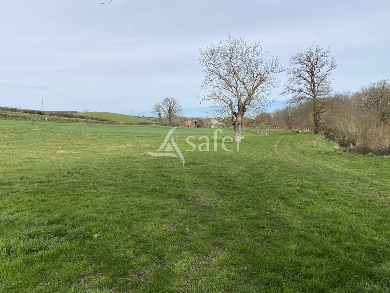 Sheep farm  Allier