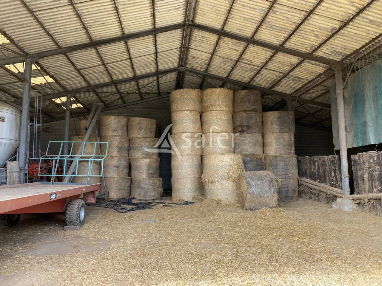 Sheep farm  Allier
