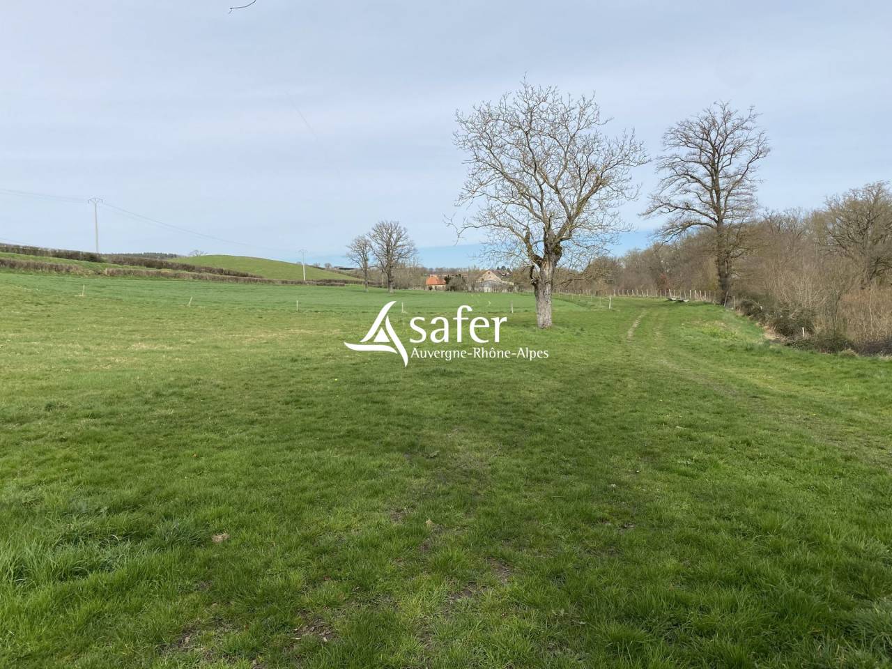 Sheep farm  Allier