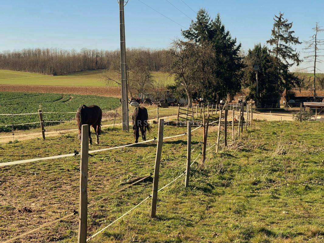 Riding school  Yonne