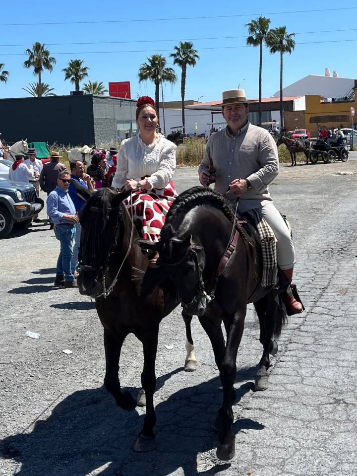 Entire PRE Pure Spanish Bred For sale 2016 Black