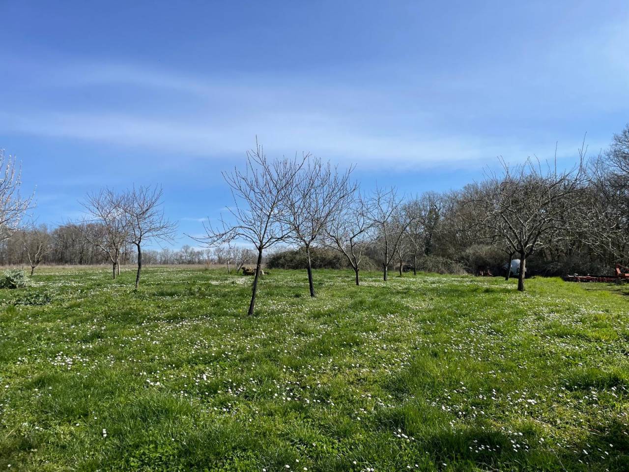 Equestrian property  Dordogne