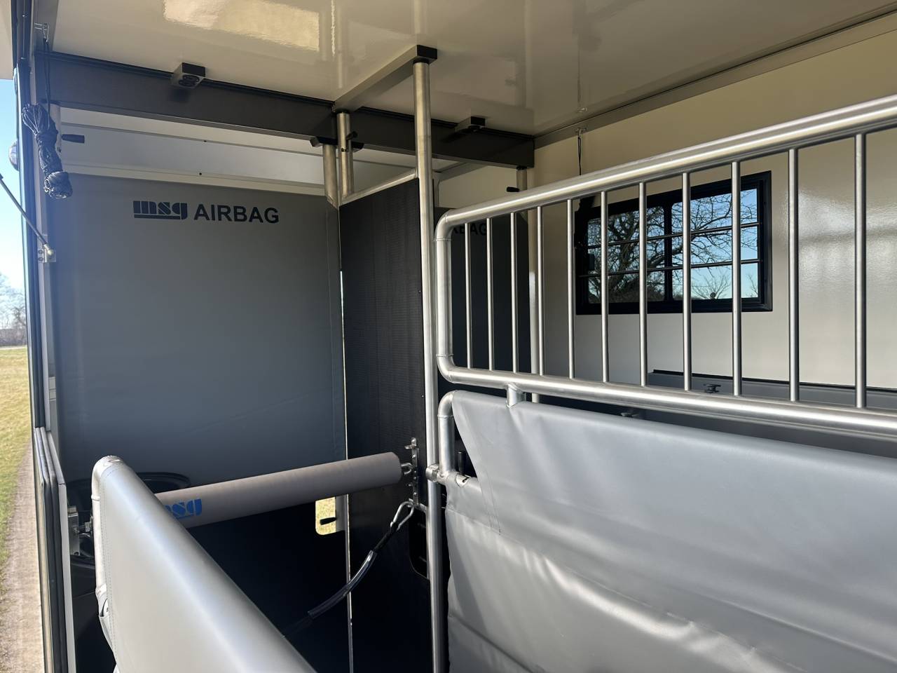 Horsebox HGV Iveco IVECO 0 New