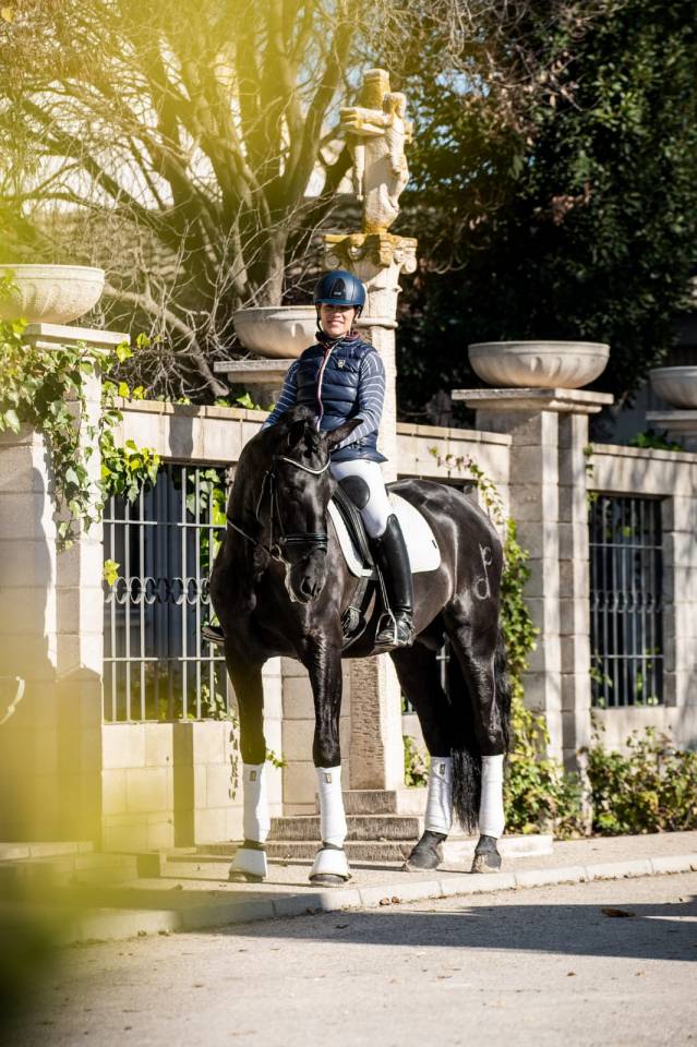 Colt PRE Pure Spanish Bred For sale 2025 Black