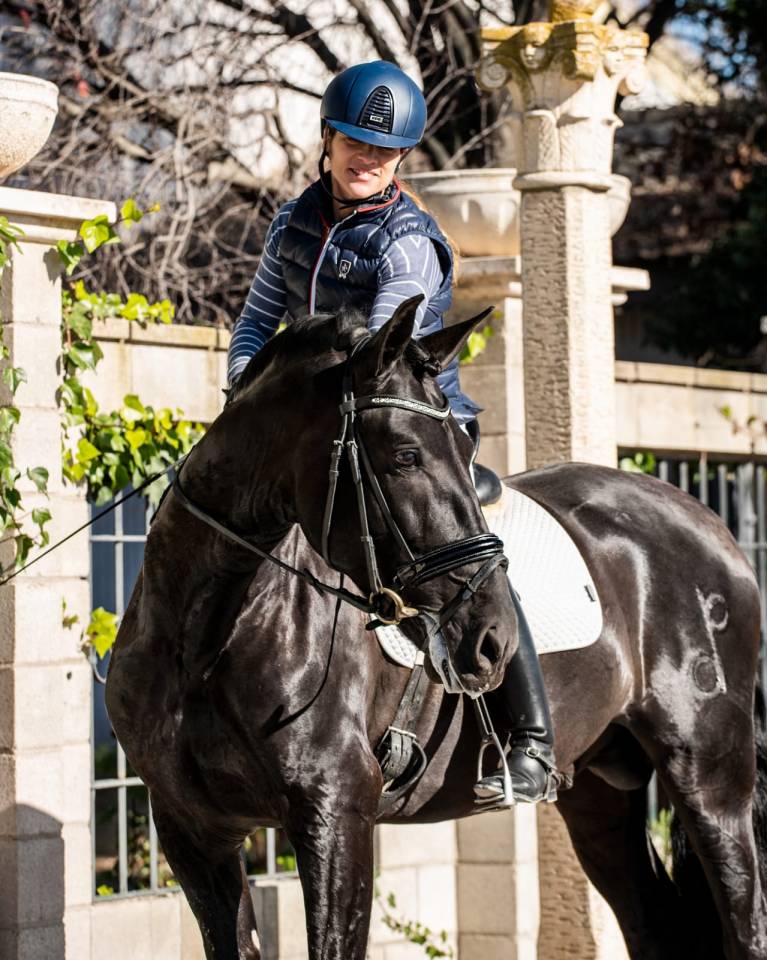 Colt PRE Pure Spanish Bred For sale 2025 Black