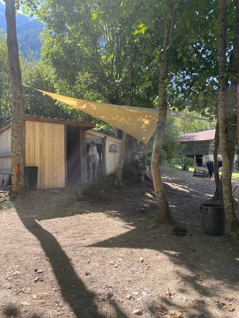 Luxurious equestrian property  Haute-Savoie