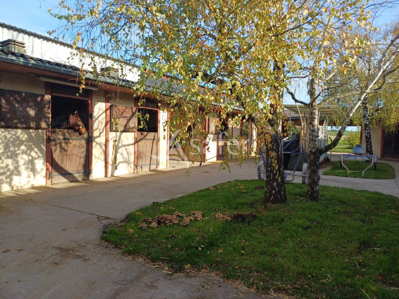 Equestrian property  Charente-Maritime