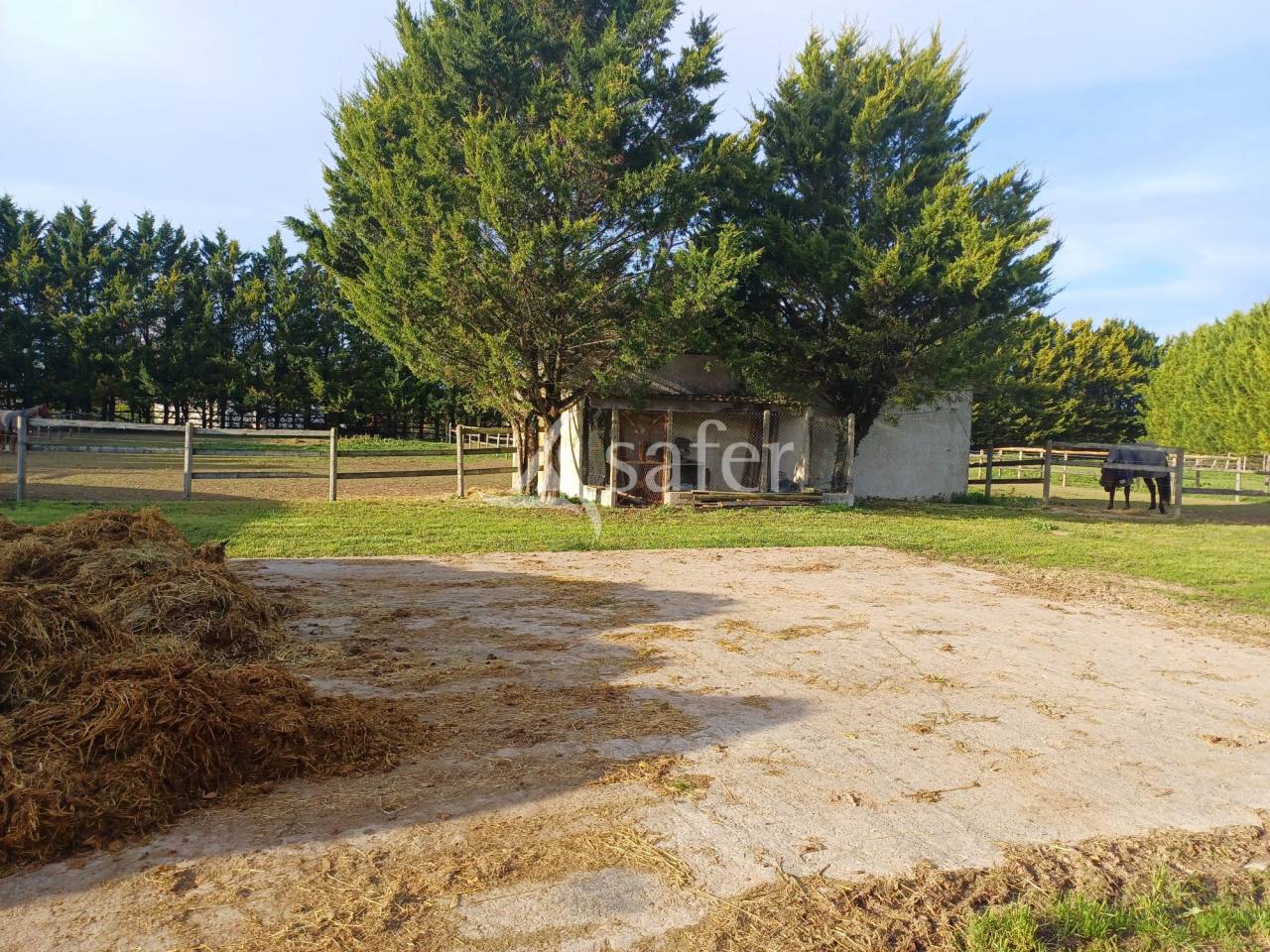 Equestrian property  Charente-Maritime