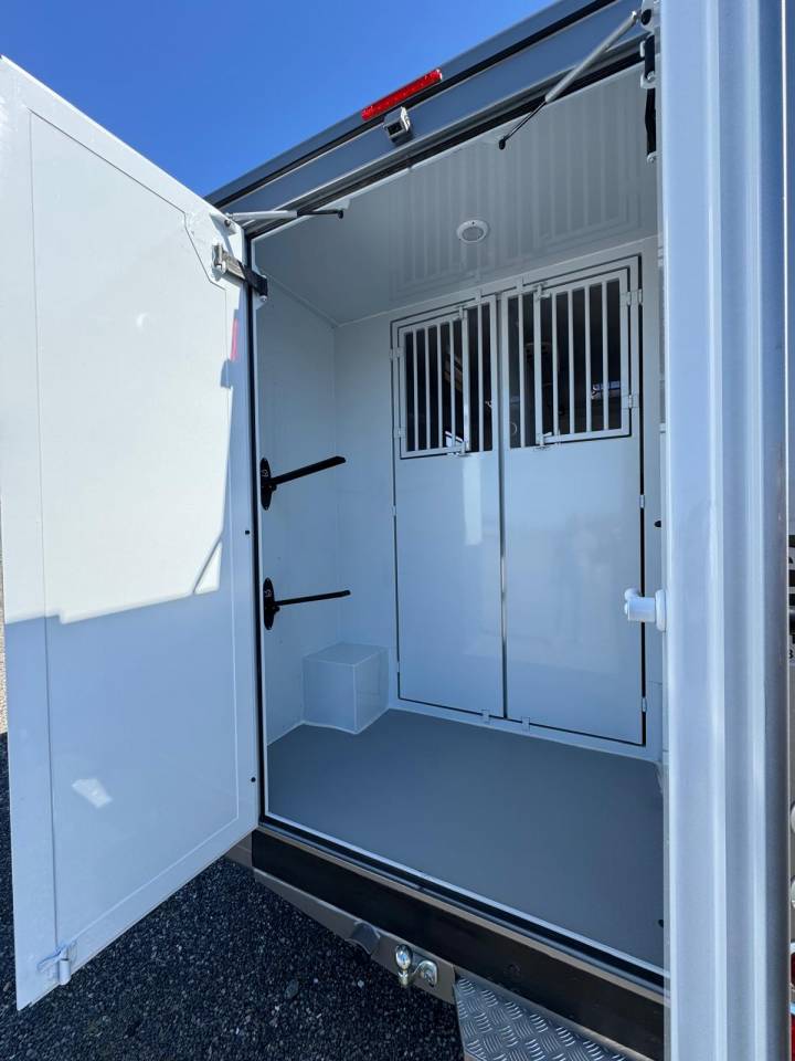 Horsebox HGV TBST Renault Master 2025 New