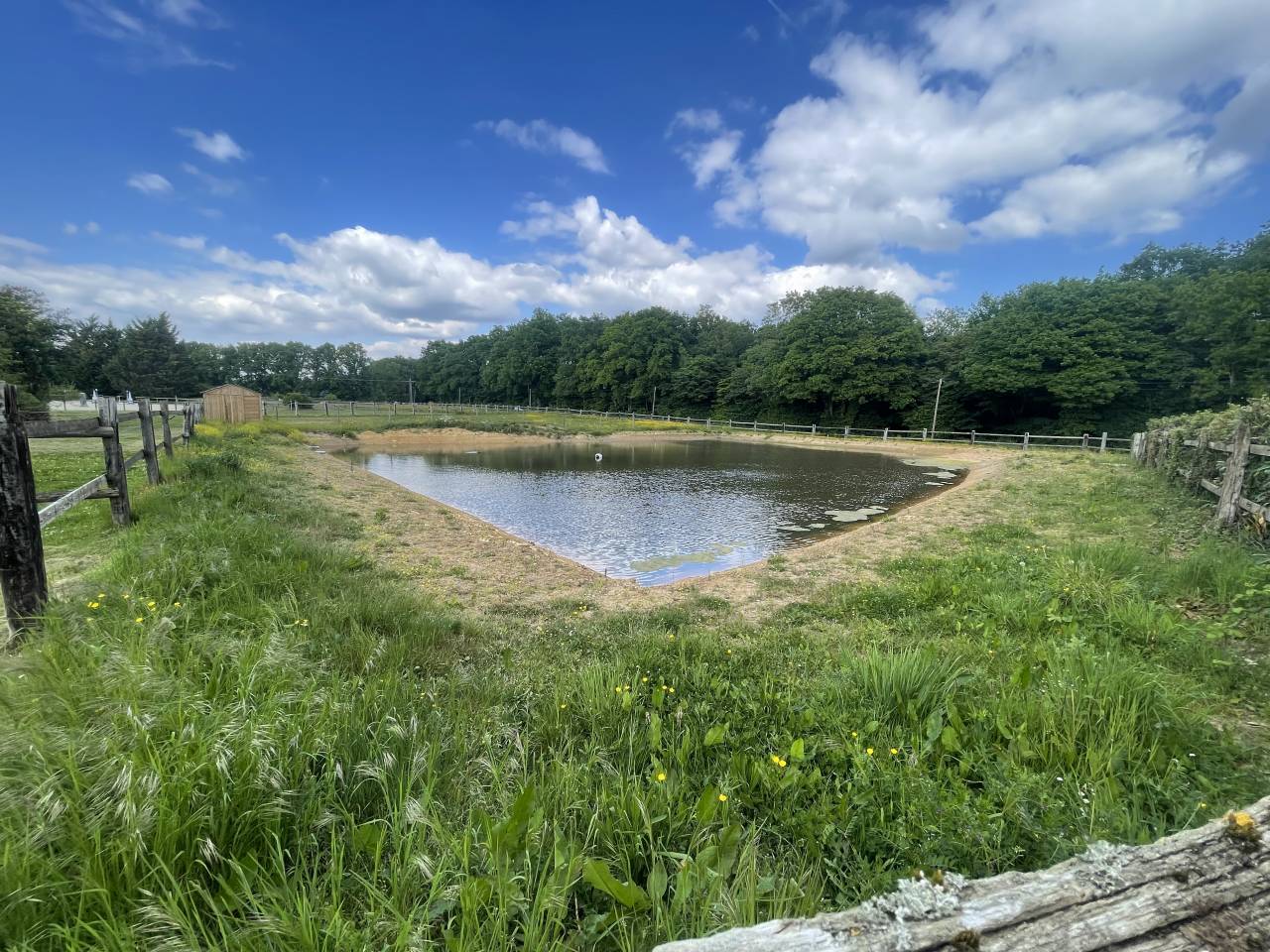 Equestrian property  Eure