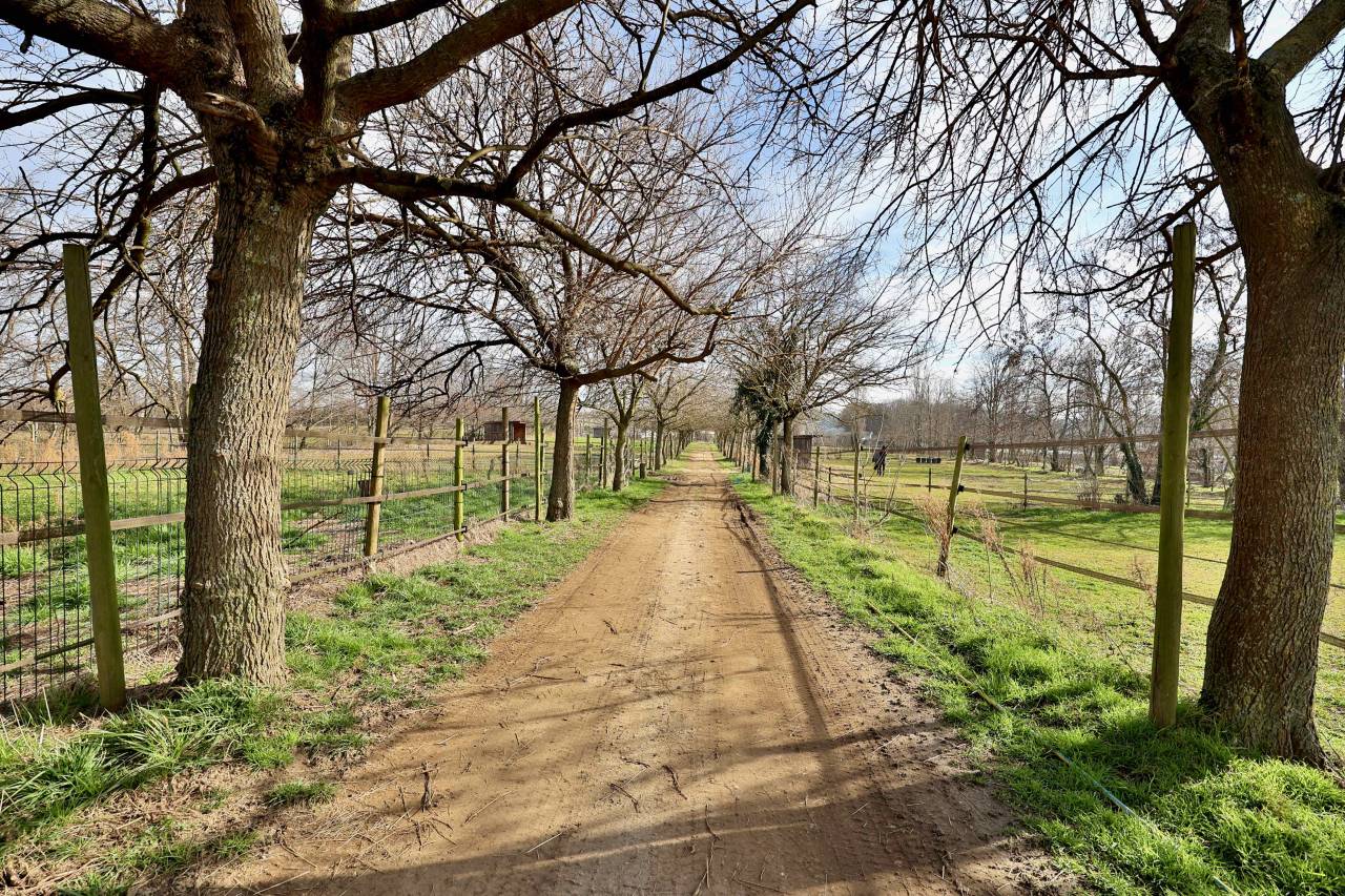 Equestrian property  Drôme