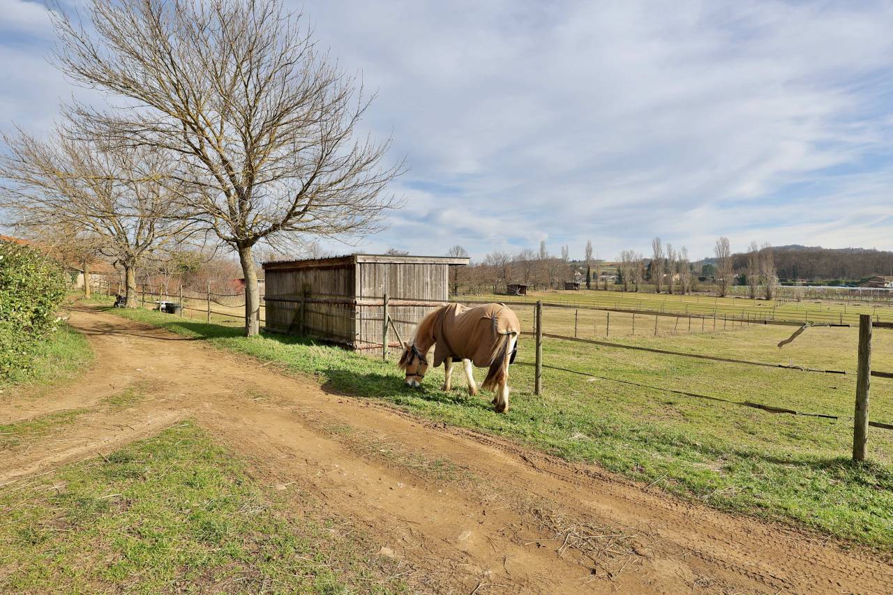 Equestrian property  Drôme