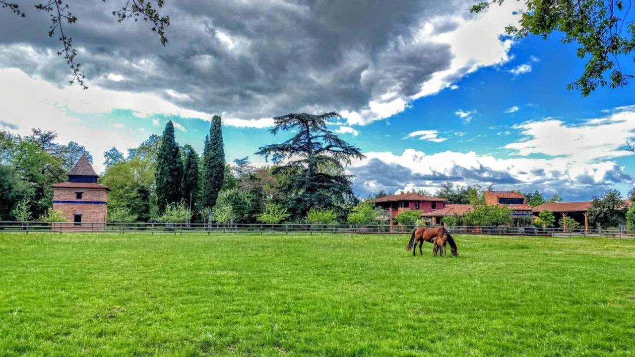 Luxurious equestrian property  Tarn-et-Taronne