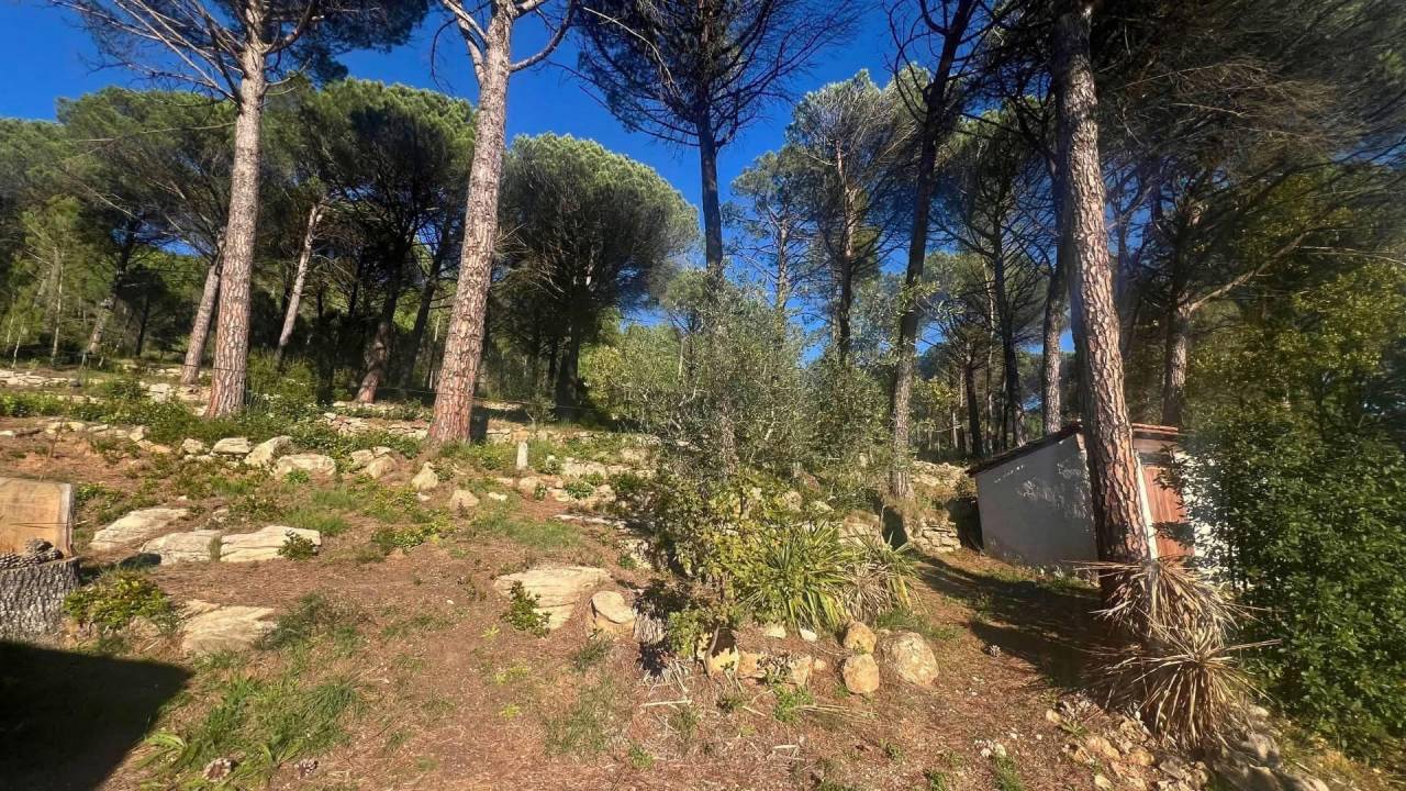 Equestrian property  Var