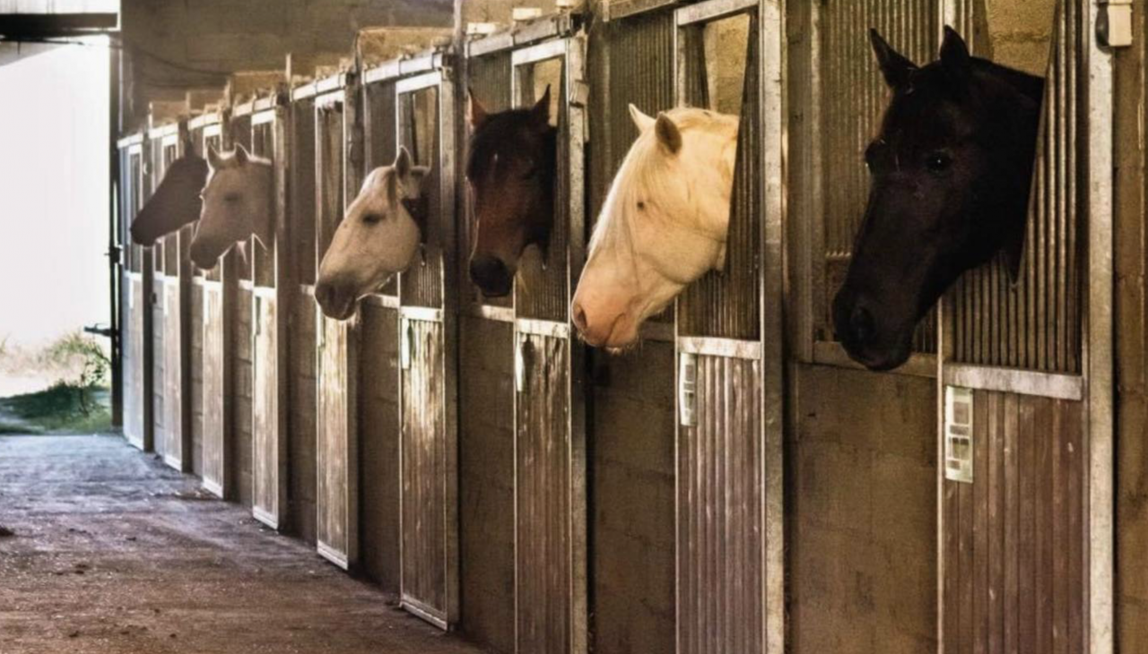 Equestrian property  Gers