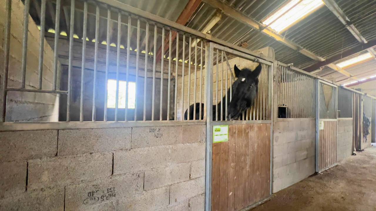 Equestrian property  Gers