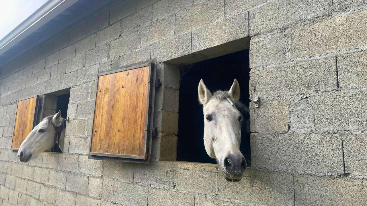 Equestrian property  Gers