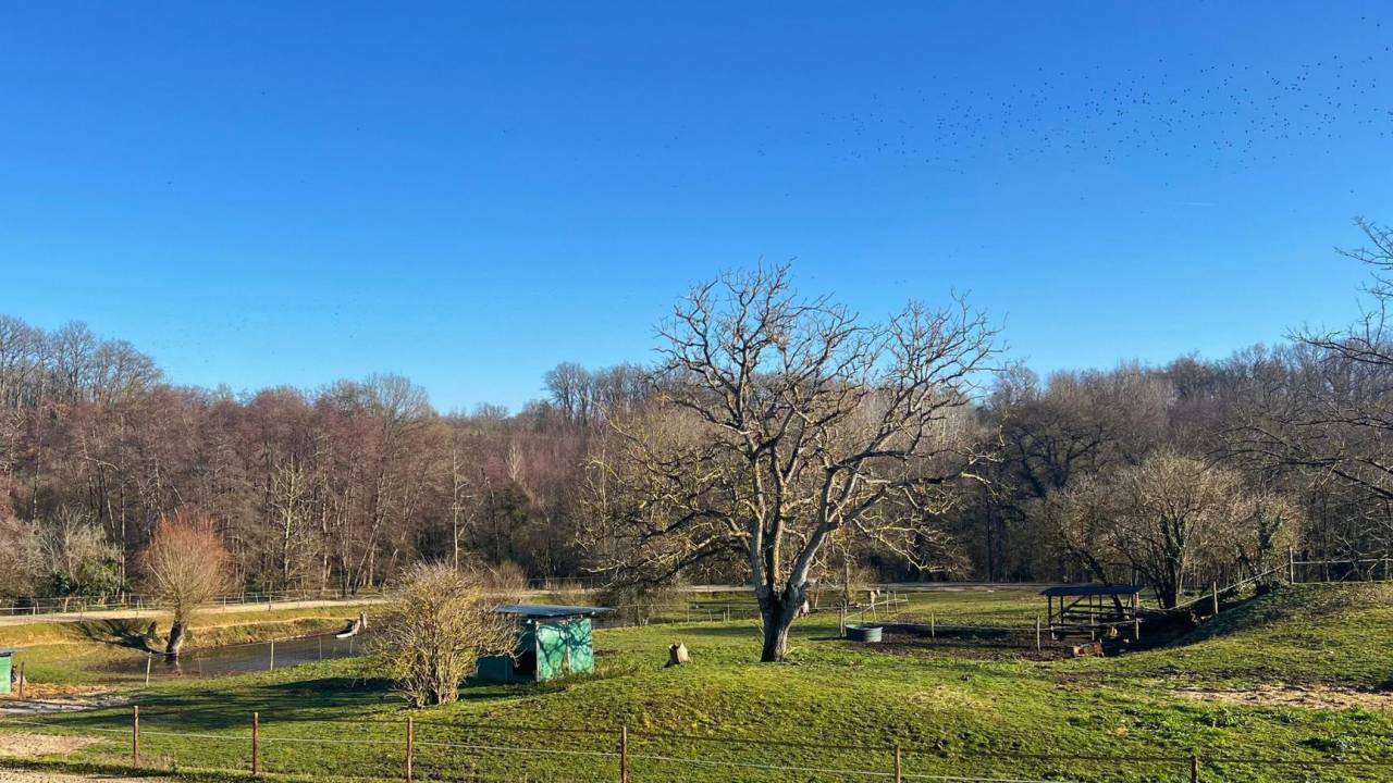 Equestrian property  Gironde