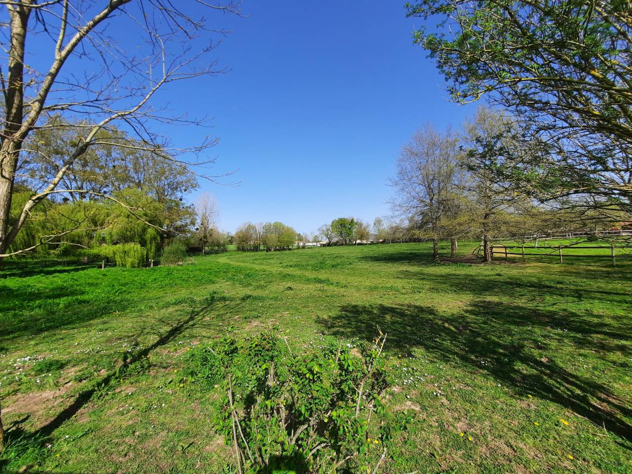 Equestrian property  Vendée