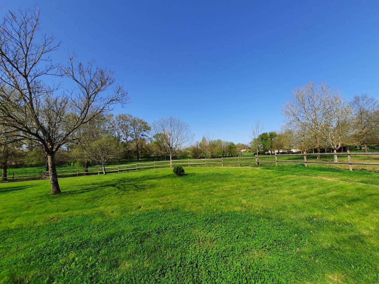 Equestrian property  Vendée