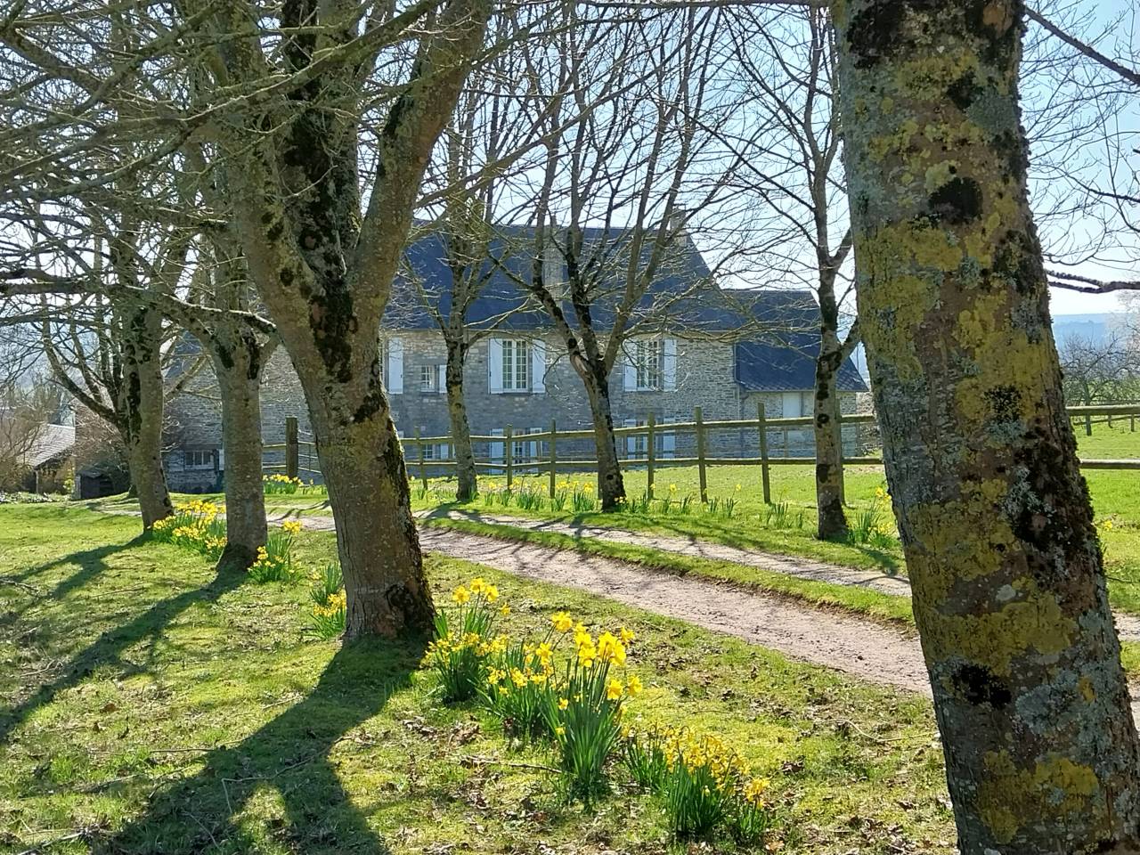 Luxurious equestrian property  Calvados