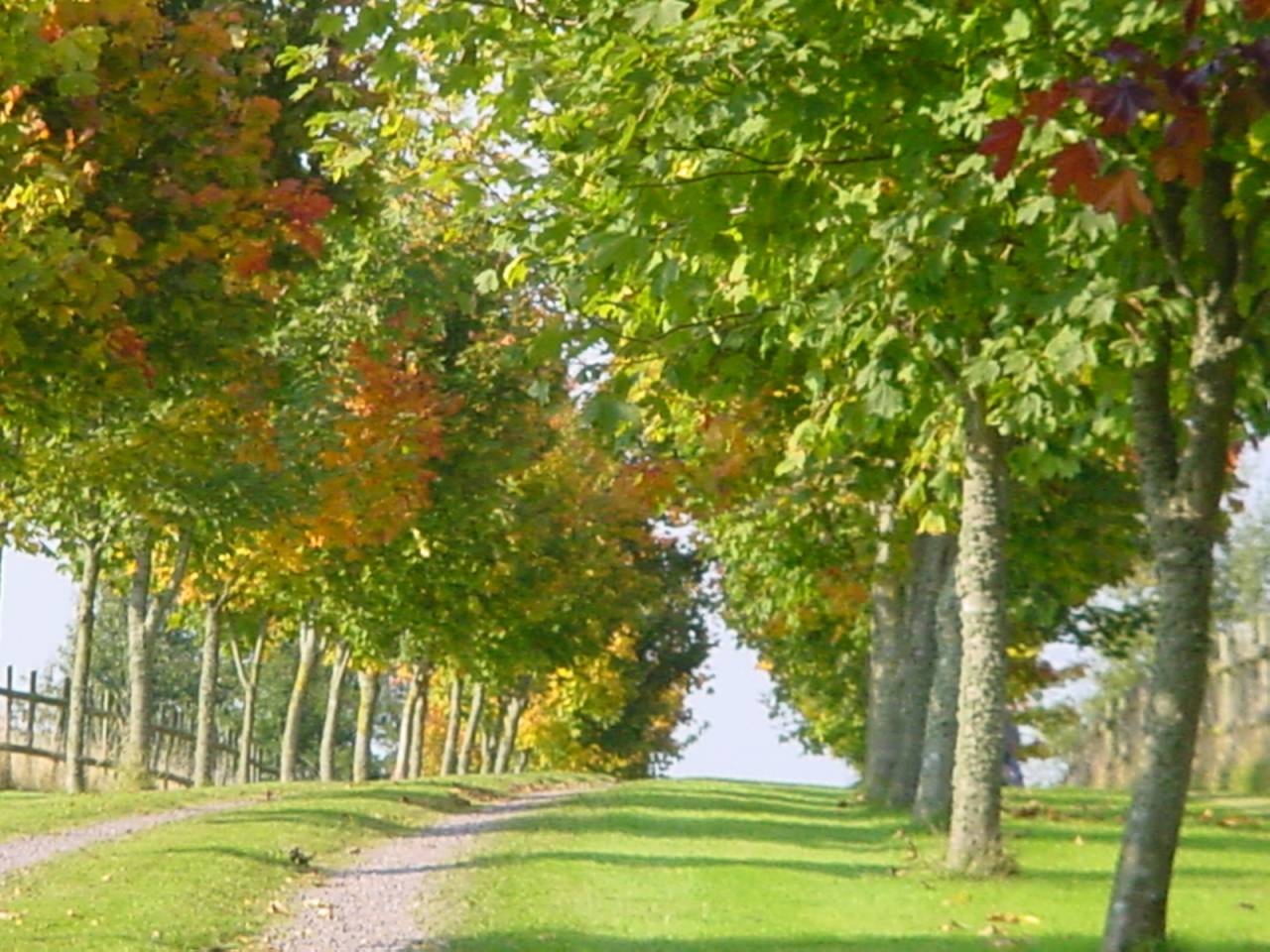 Luxurious equestrian property  Calvados