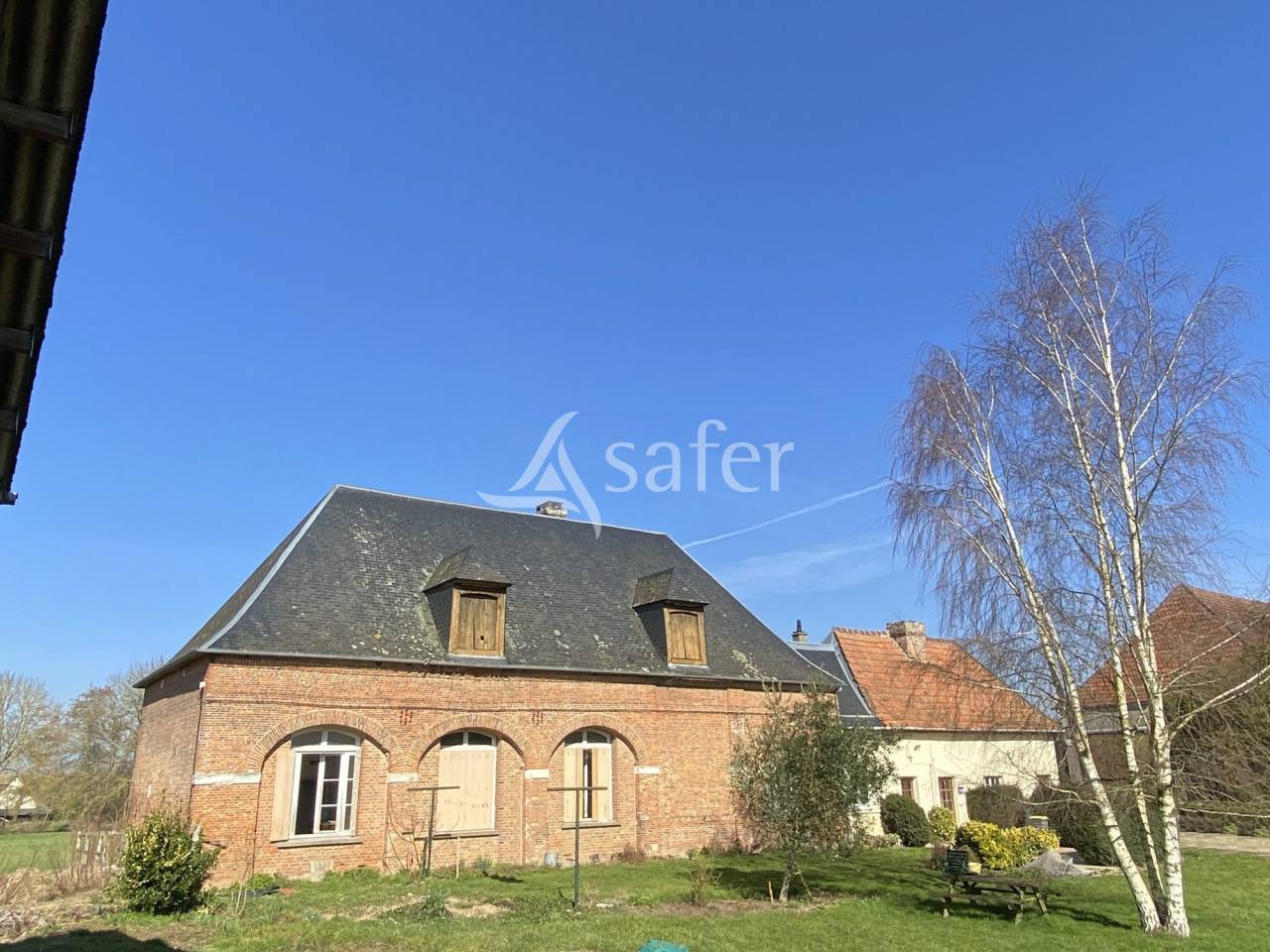 Woodland  Seine-Maritime