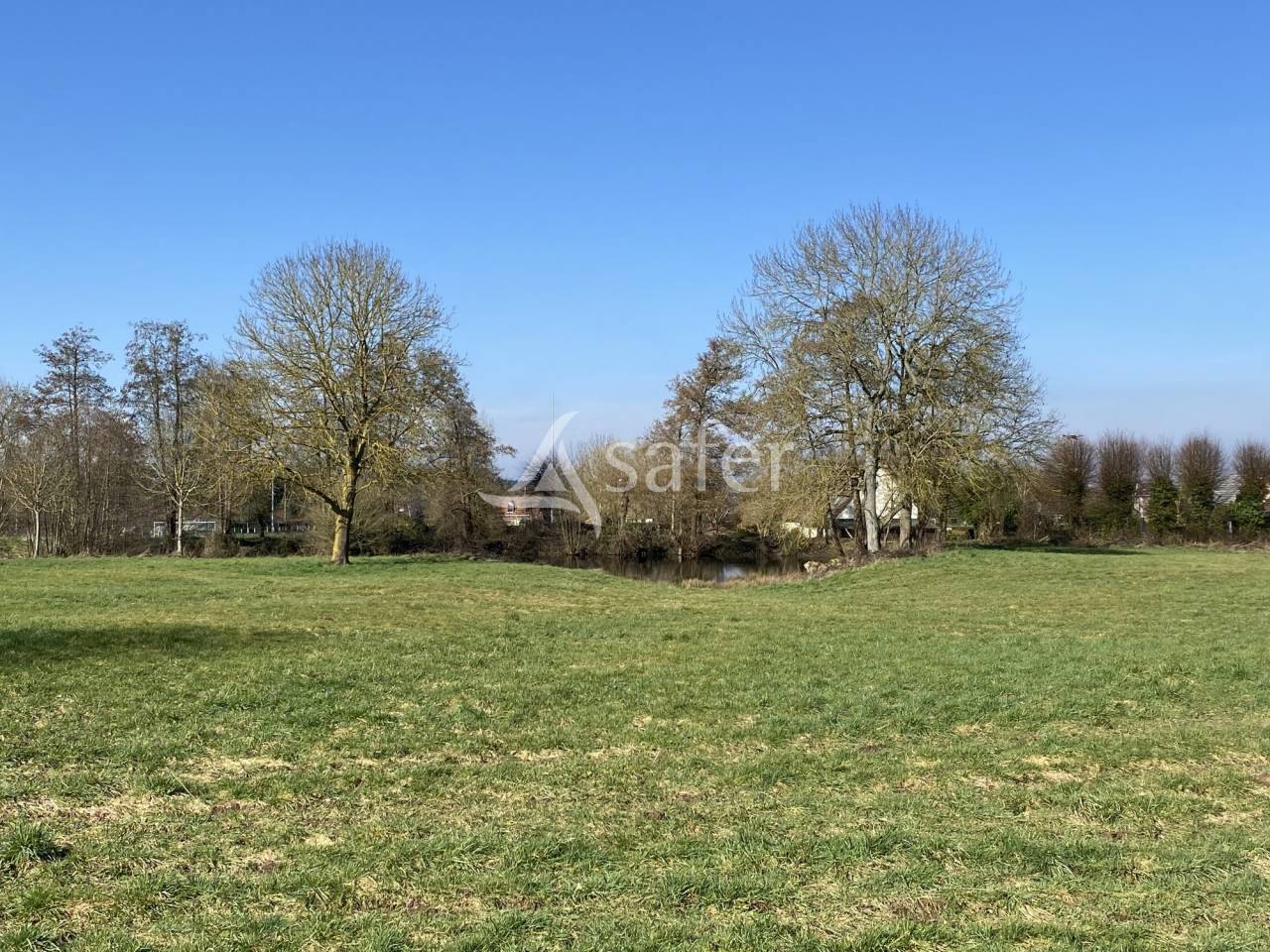 Woodland  Seine-Maritime