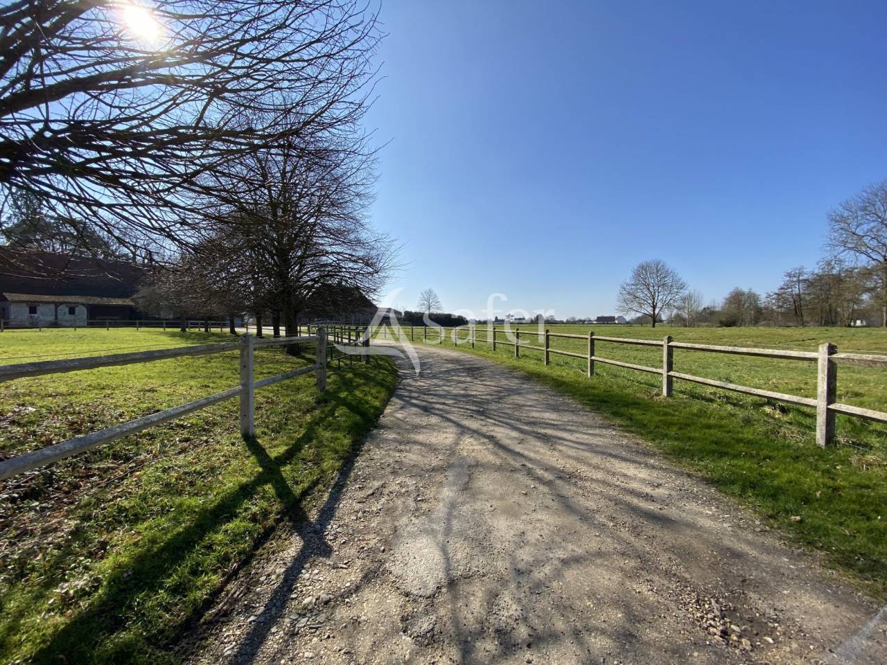 Woodland  Seine-Maritime