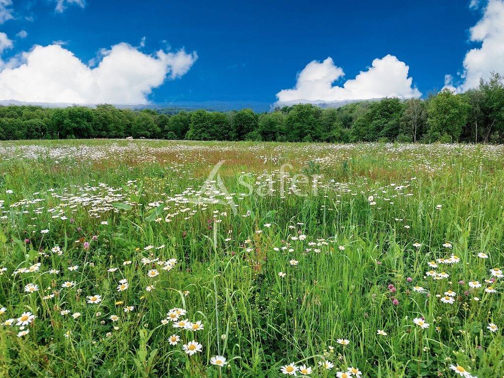 Other agricultural property  Haute-Vienne