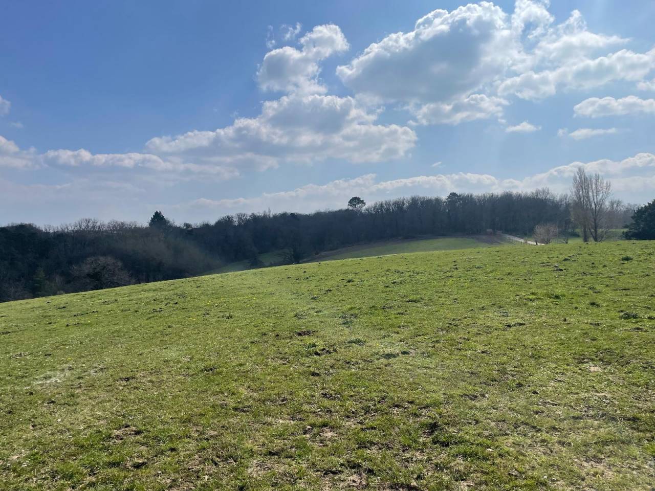 Equestrian property  Dordogne