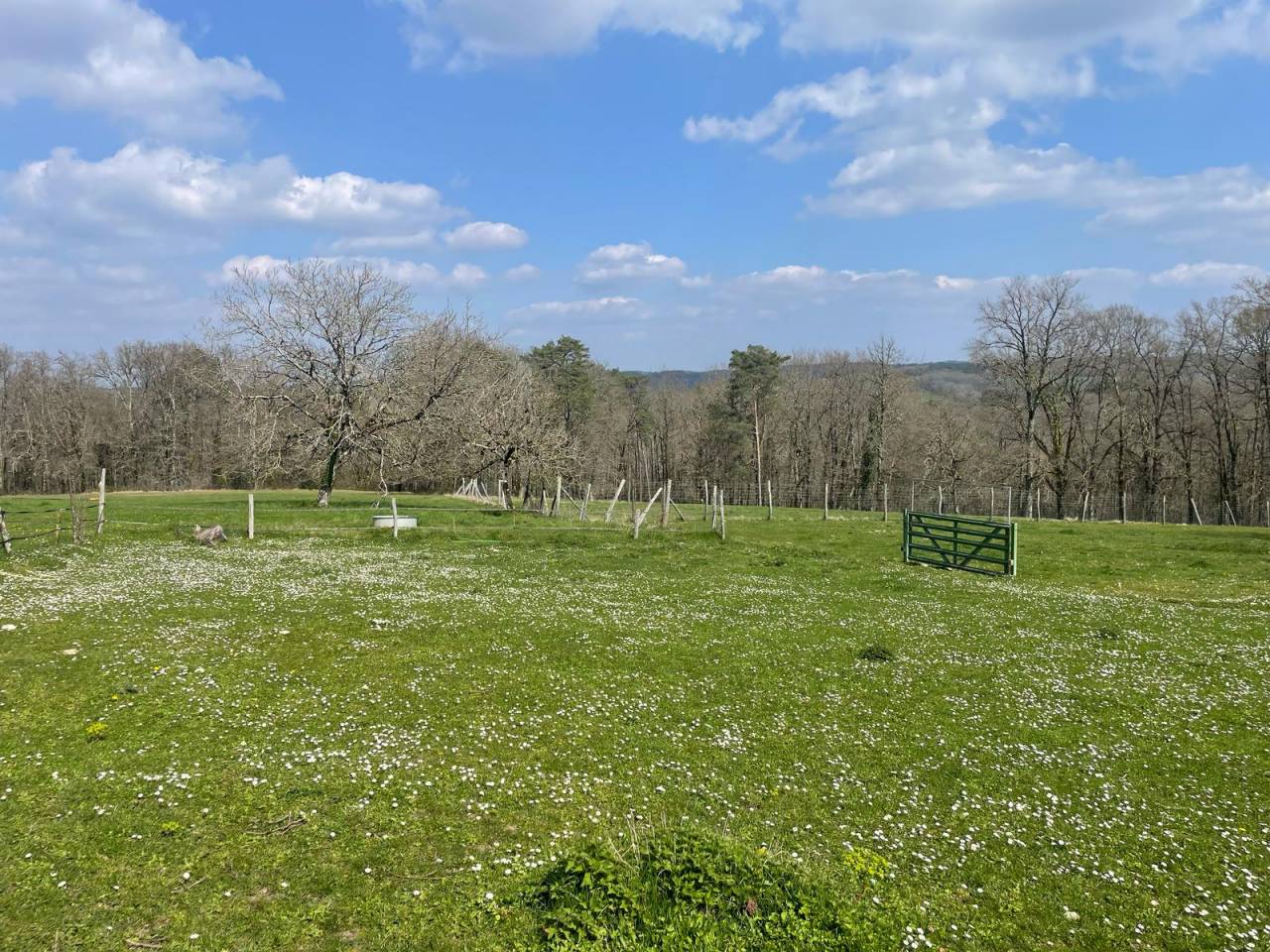 Equestrian property  Dordogne