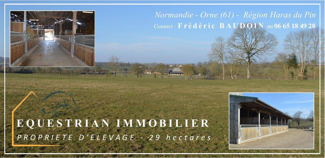 Stud farm  Orne