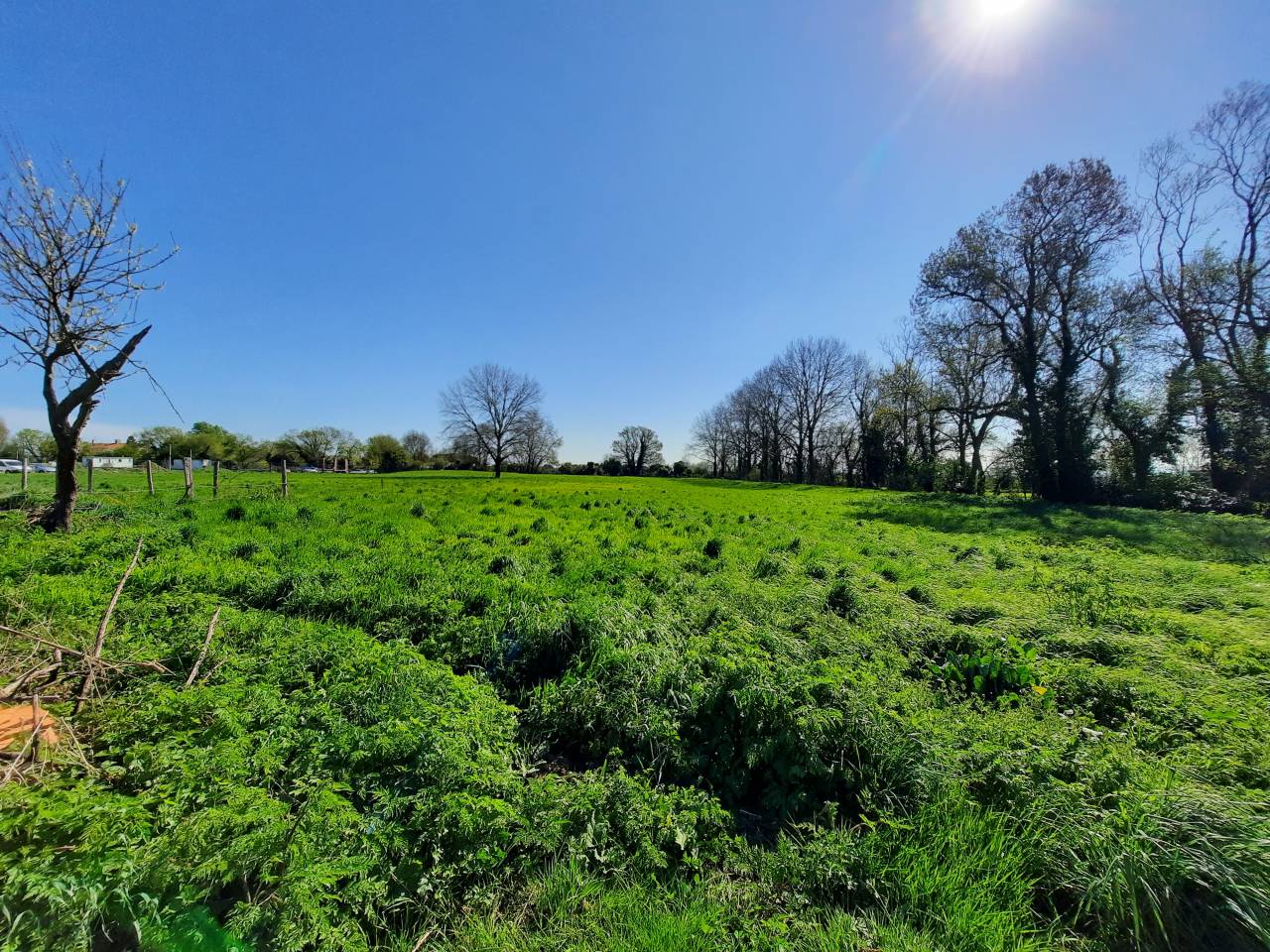 Equestrian property  Vendée