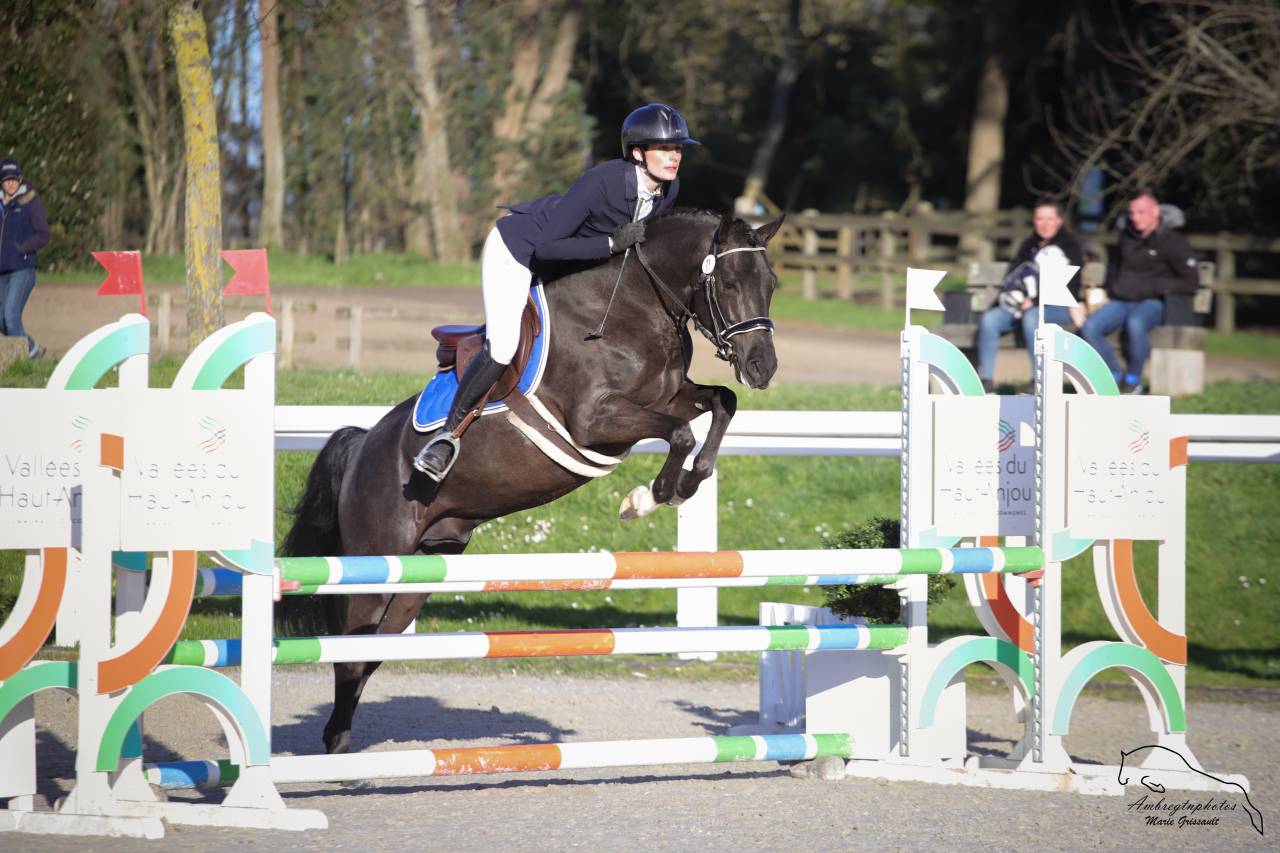 MERRIE MALACHIE  - New Forest 2019 by MERRIE MADHATTER