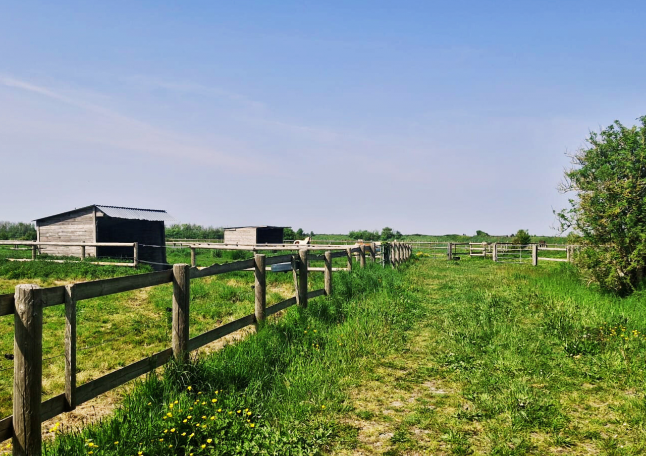 Luxurious equestrian property  Ile-et-Vilaine