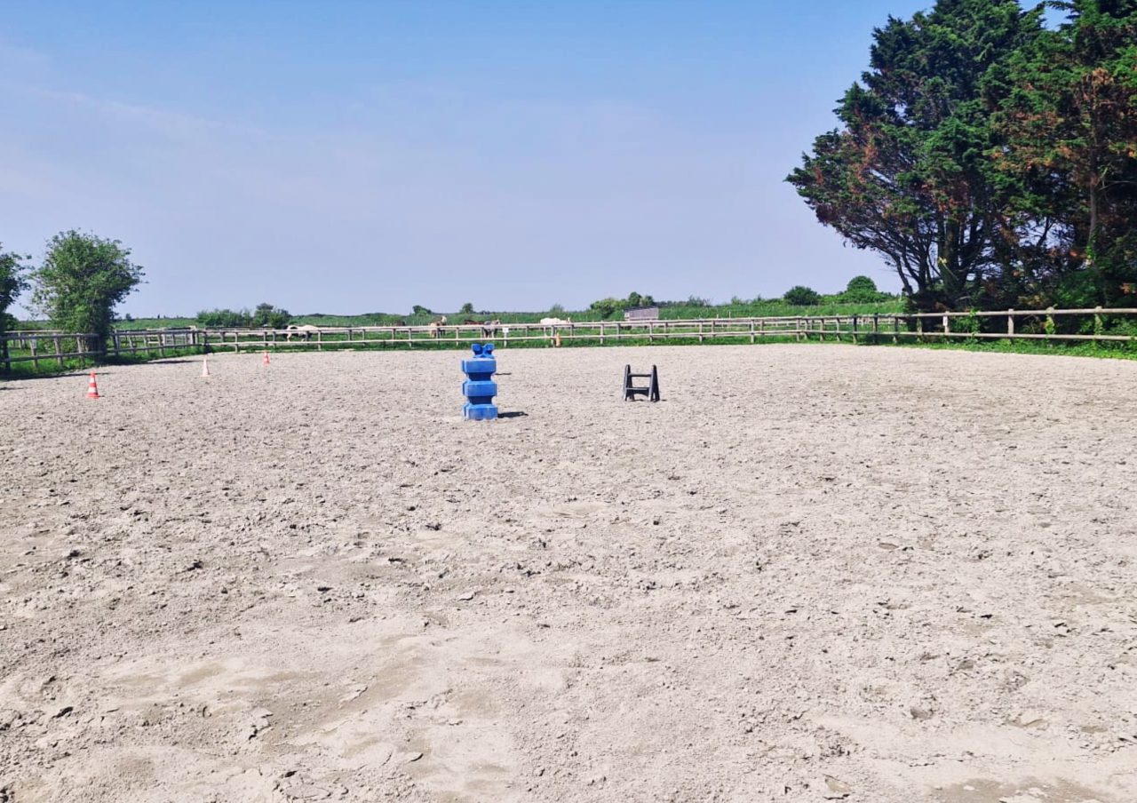 Luxurious equestrian property  Ile-et-Vilaine