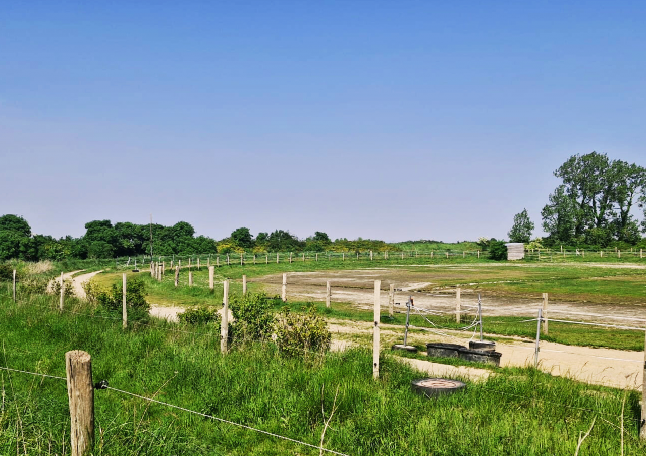 Luxurious equestrian property  Ile-et-Vilaine