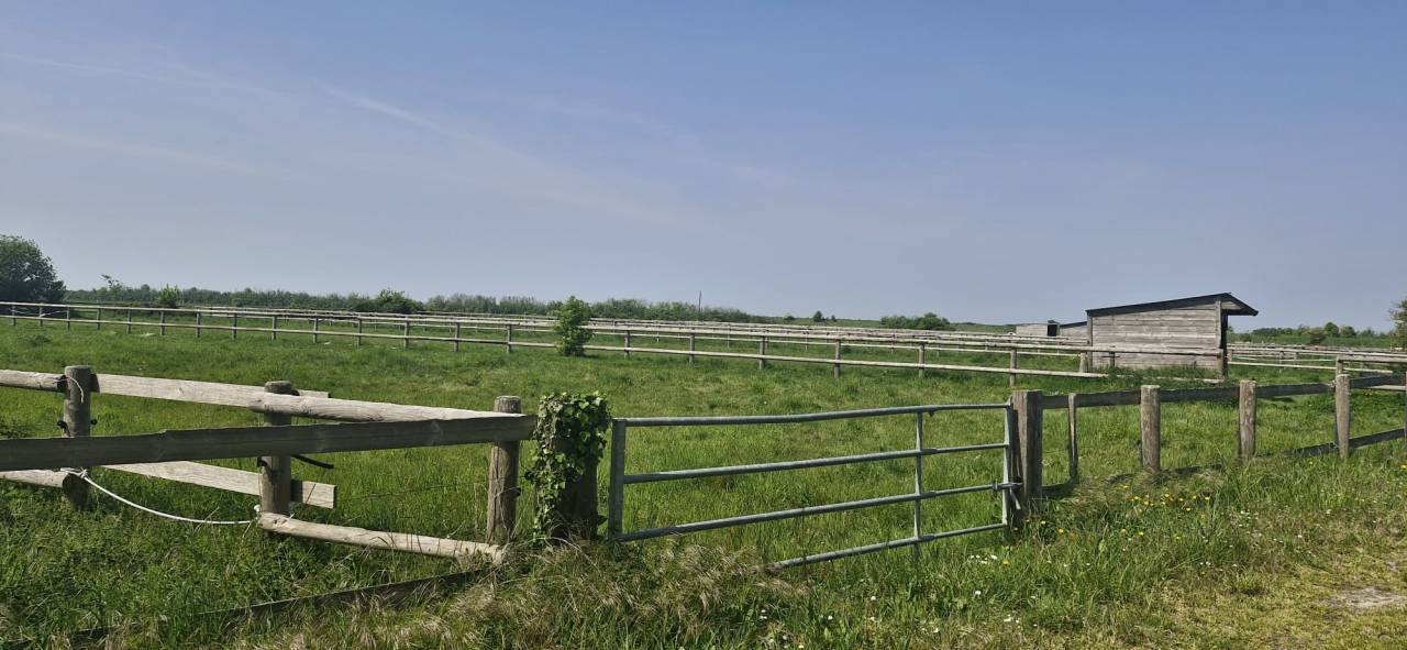 Luxurious equestrian property  Ile-et-Vilaine