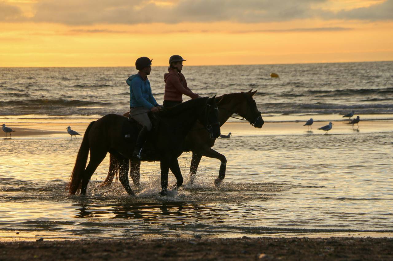 Luxurious equestrian property  Ile-et-Vilaine