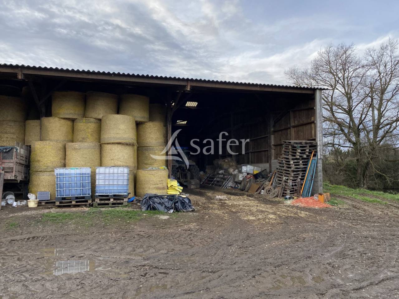 Sheep farm  Allier