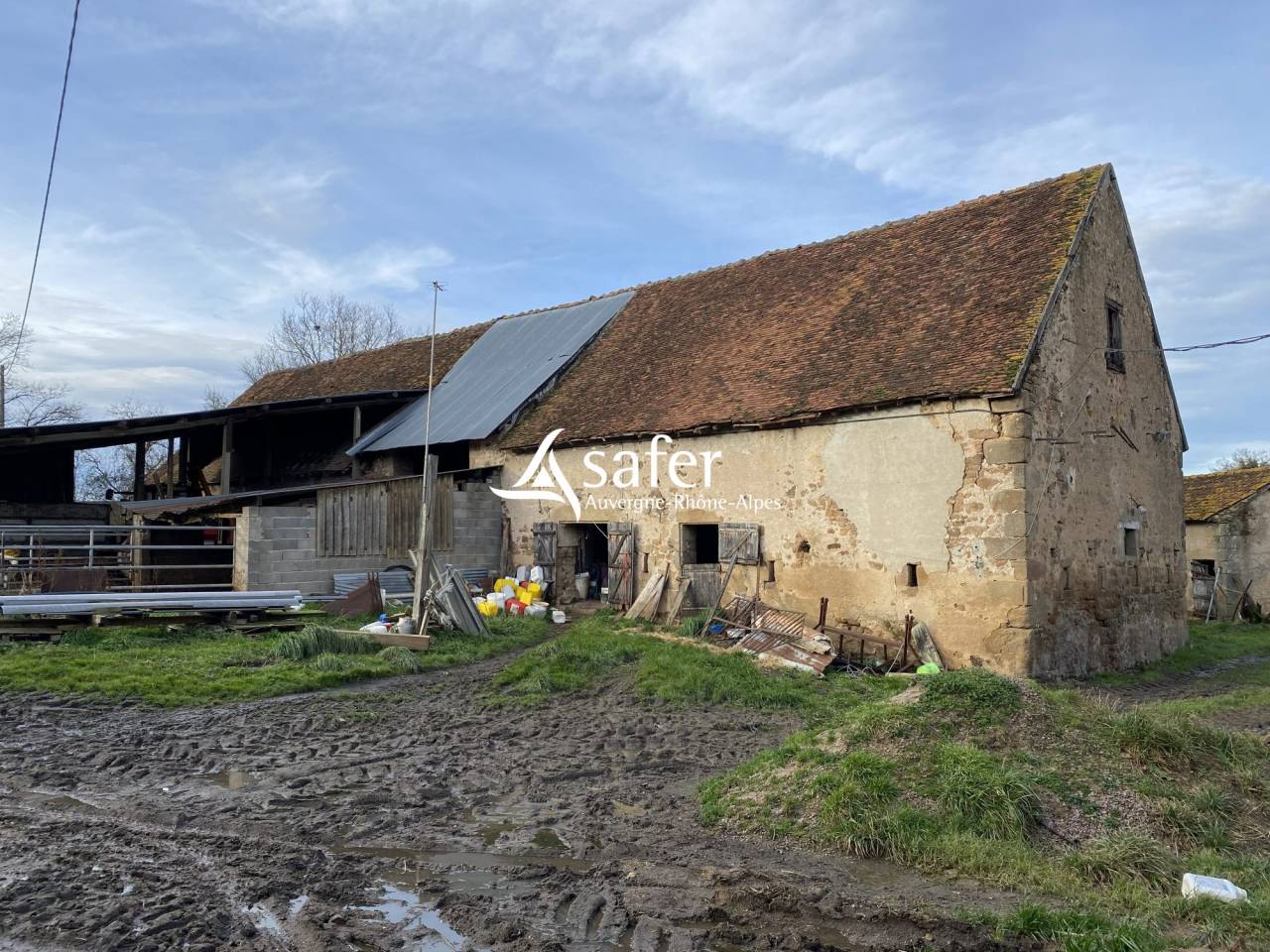 Sheep farm  Allier