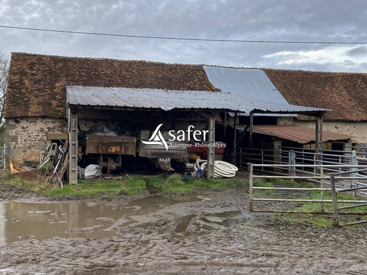 Sheep farm  Allier