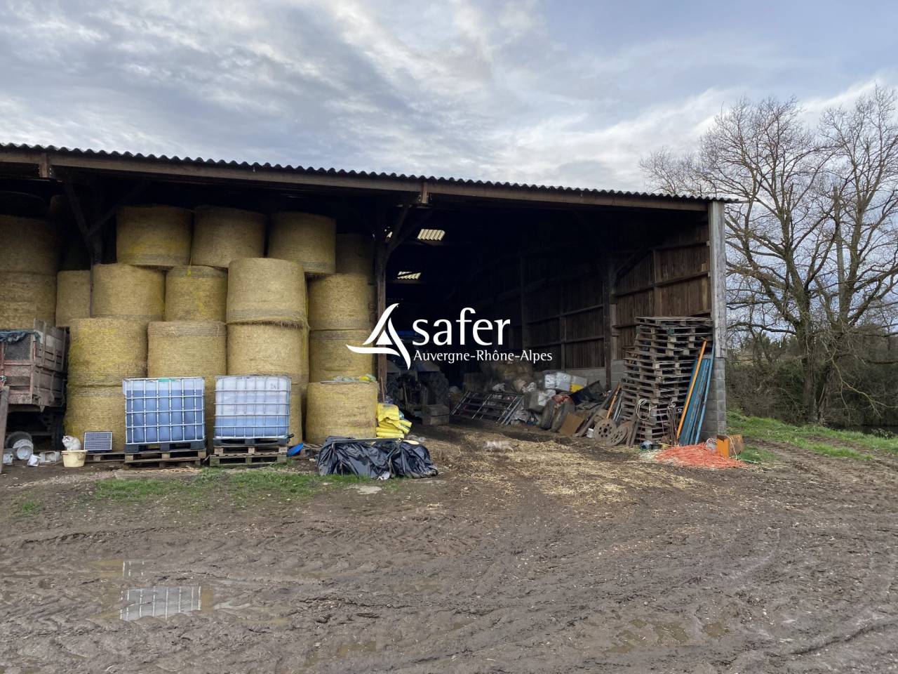 Sheep farm  Allier